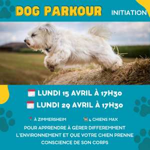 Dog Parkour sur Mulhouse et alentours