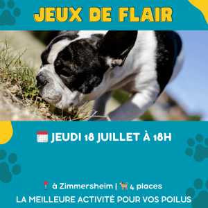 Agenda activités canines mulhouse 3