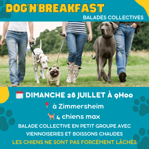 Agenda activités canines mulhouse 4