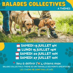 Agenda activités canines mulhouse 7