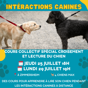 Agenda activités canines mulhouse 7