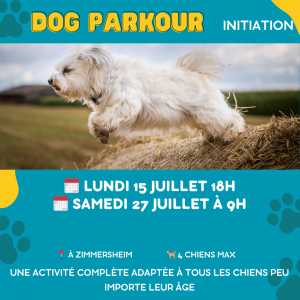 Agenda activités canines mulhouse 8