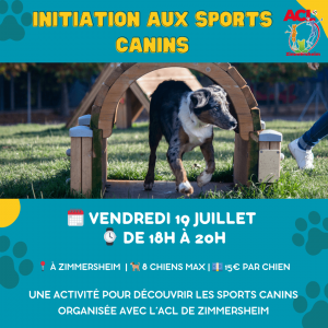 Agenda activités canines mulhouse 9