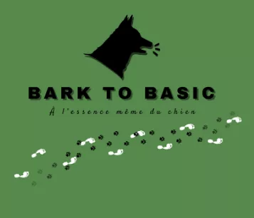 Logo Bark To Basic